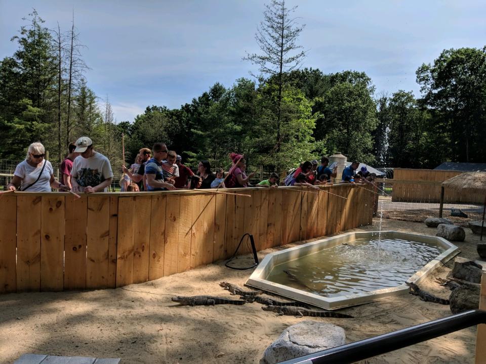 Photos Adirondack Animal Land